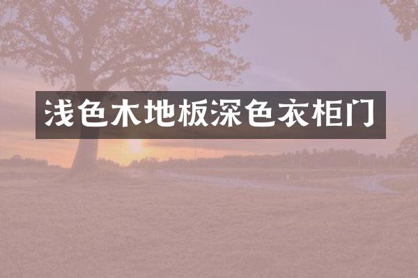 浅色木地板深色衣柜门