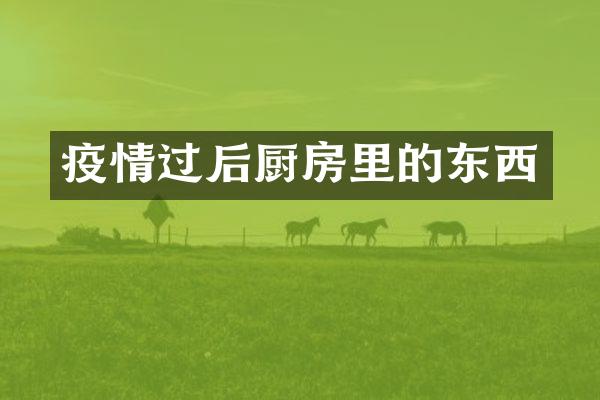 疫情过后厨房里的东西