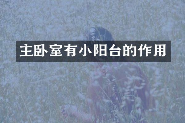 主卧室有小阳台的作用