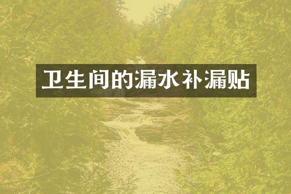 卫生间的漏水补漏贴