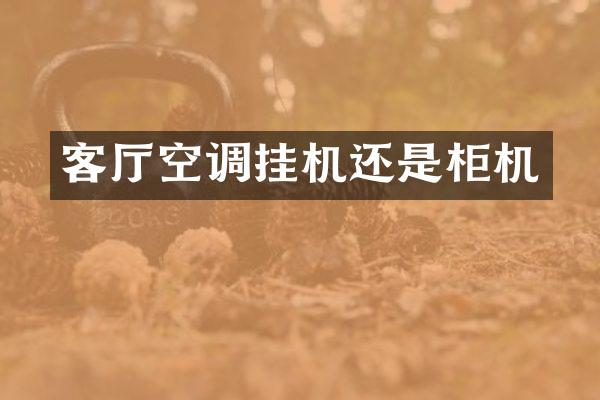 客厅空调挂机还是柜机
