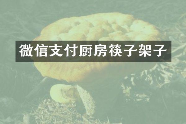 微信支付厨房筷子架子