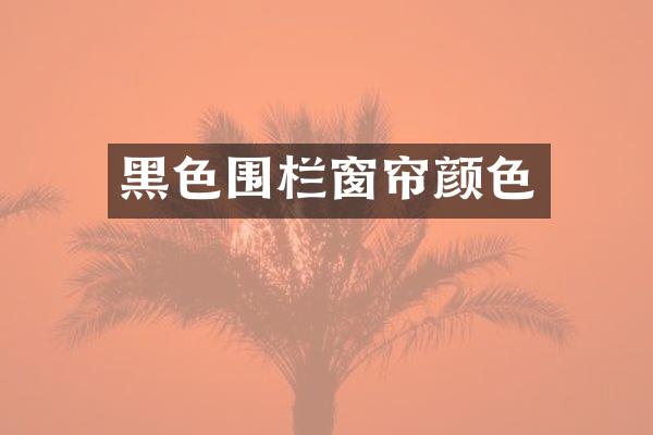 黑色围栏窗帘颜色