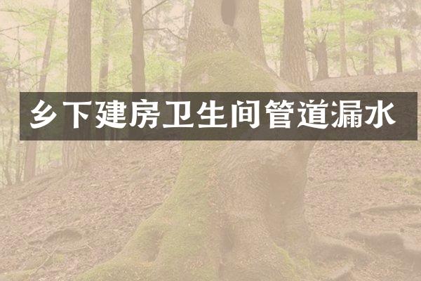 乡下建房卫生间管道漏水
