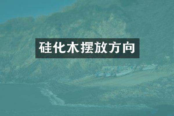硅化木摆放方向