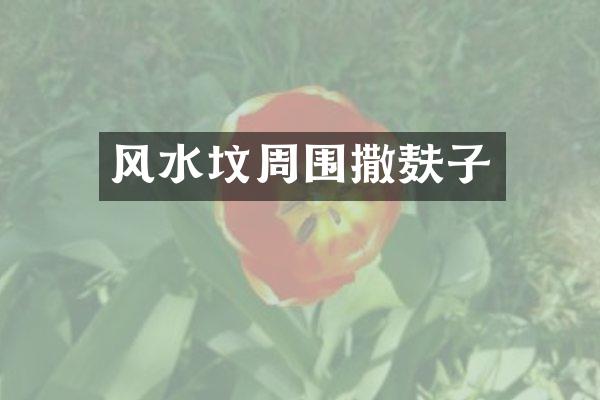 风水坟周围撒麸子