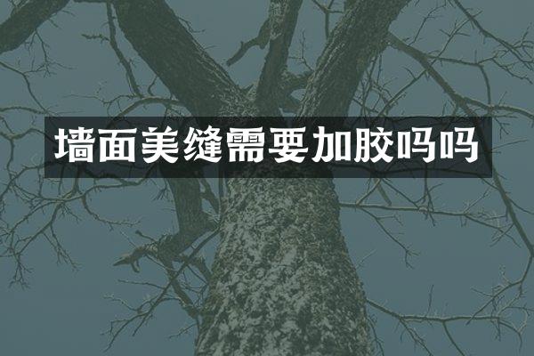 墙面美缝需要加胶吗吗