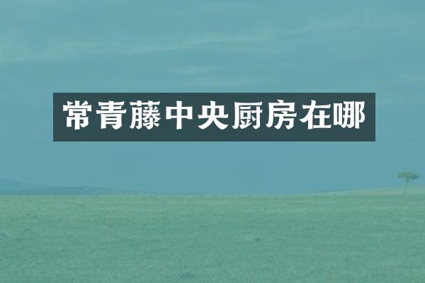 常青藤中央厨房在哪