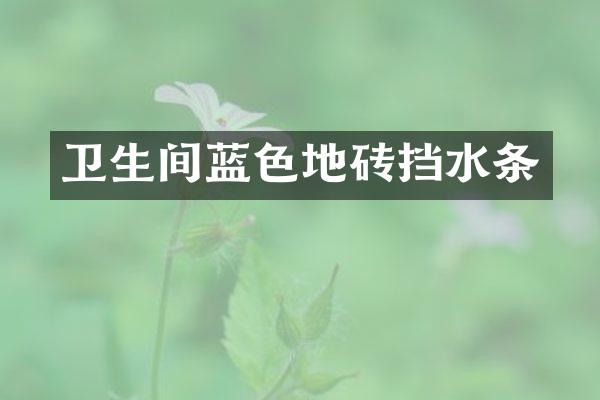 卫生间蓝色地砖挡水条