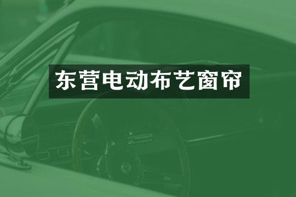 东营电动布艺窗帘