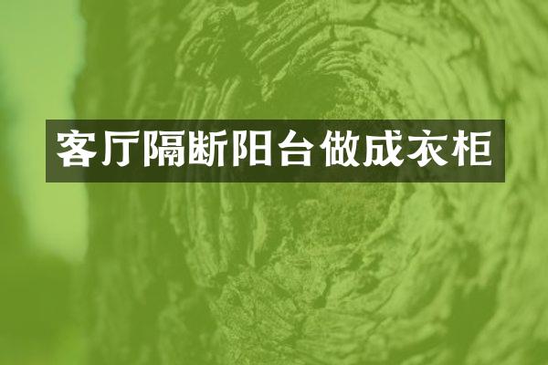 客厅隔断阳台做成衣柜