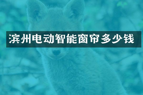 滨州电动智能窗帘多少钱