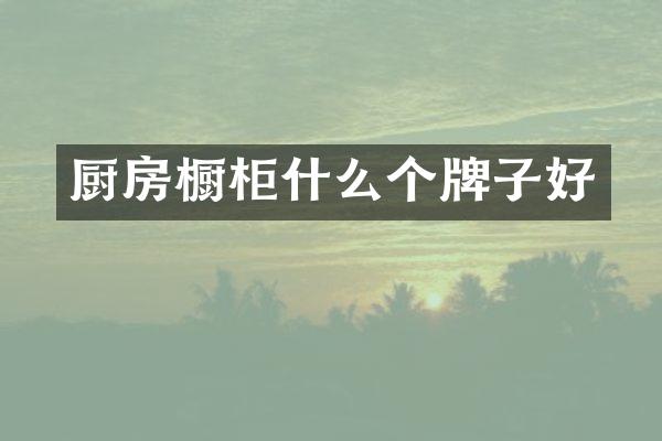 厨房橱柜什么个牌子好