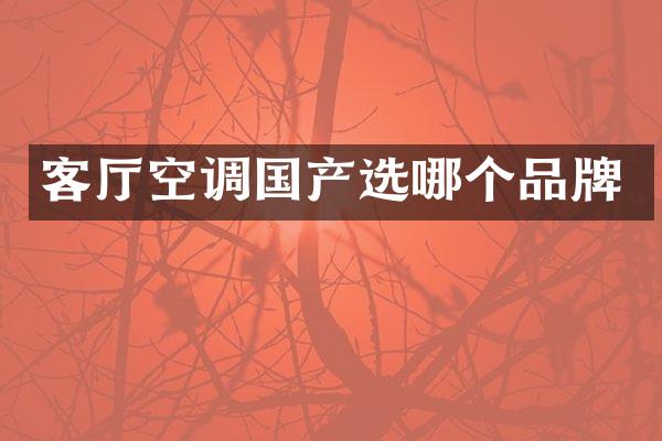 客厅空调国产选哪个品牌