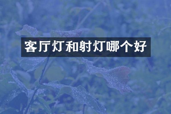 客厅灯和射灯哪个好