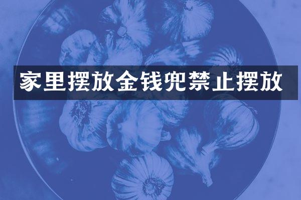 家里摆放金钱兜禁止摆放