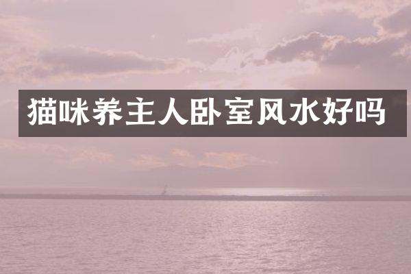 猫咪养主人卧室风水好吗