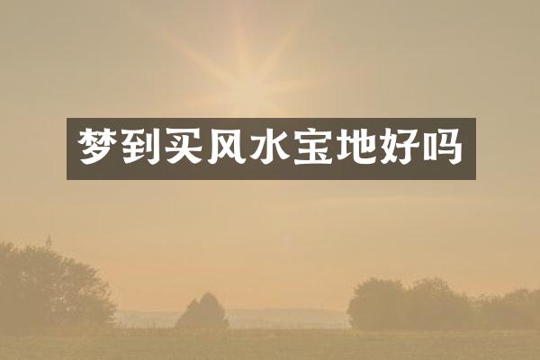 梦到买风水宝地好吗