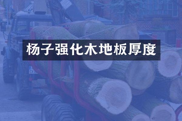 杨子强化木地板厚度