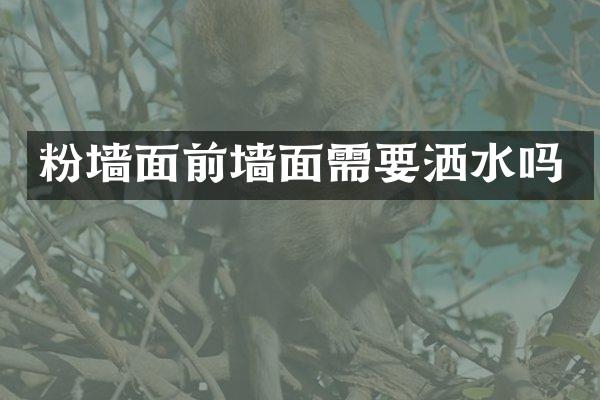 粉墙面前墙面需要洒水吗