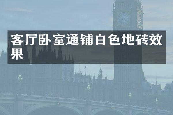 客厅卧室通铺白色地砖效果