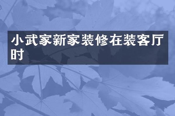 小武家新家装修在装客厅时
