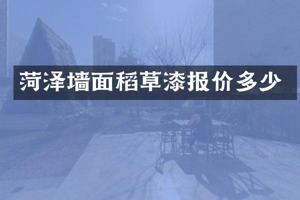 菏泽墙面稻草漆报价多少