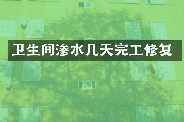 卫生间渗水几天完工修复