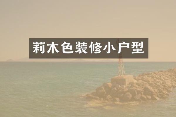莉木色装修小户型