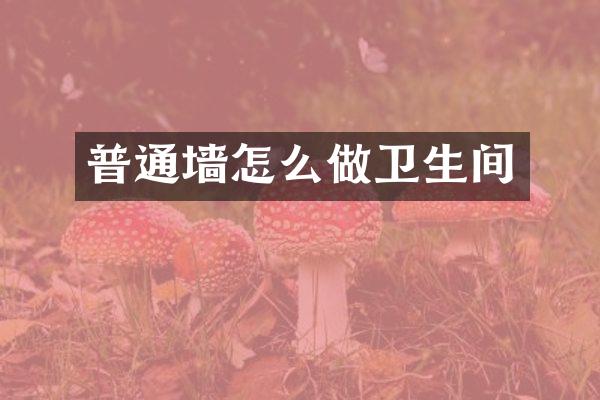 普通墙怎么做卫生间