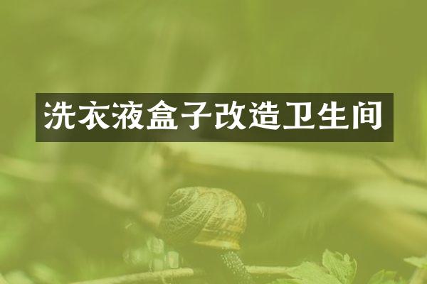 洗衣液盒子改造卫生间