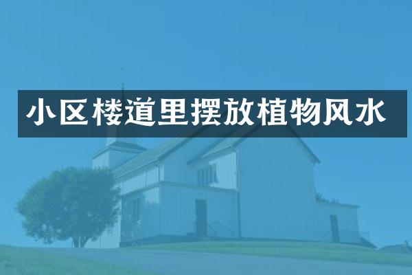 小区楼道里摆放植物风水