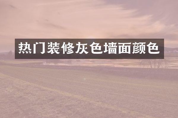 热门装修灰色墙面颜色