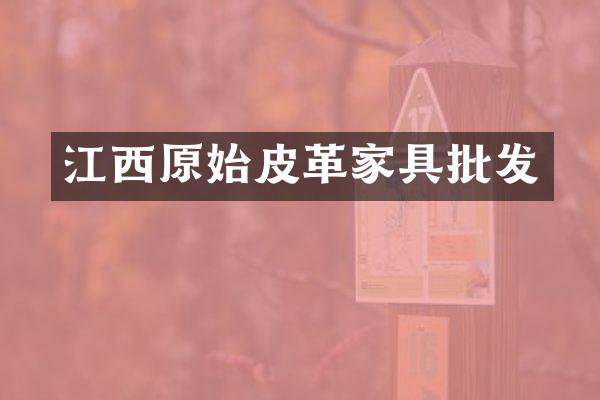 江西原始皮革家具批发