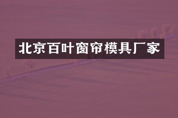 北京百叶窗帘模具厂家