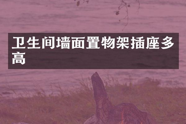 卫生间墙面置物架插座多高