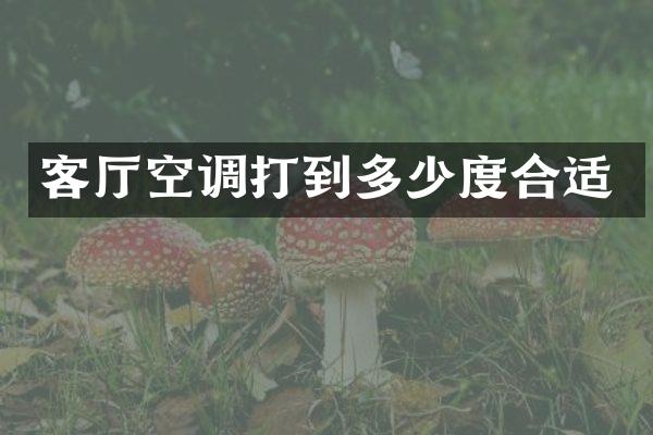 客厅空调打到多少度合适