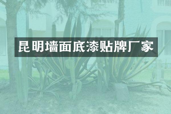昆明墙面底漆贴牌厂家
