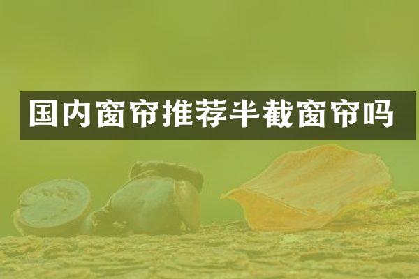 国内窗帘推荐半截窗帘吗
