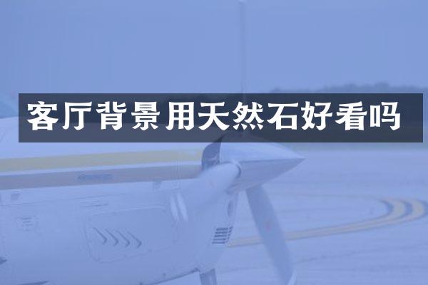 客厅背景用天然石好看吗