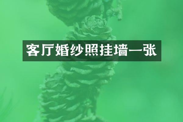 客厅婚纱照挂墙一张