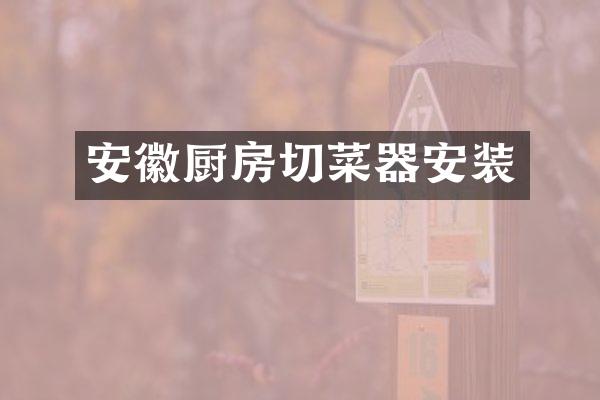 安徽厨房切菜器安装