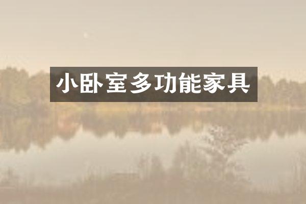 小卧室多功能家具