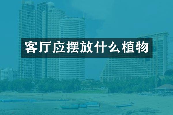 客厅应摆放什么植物