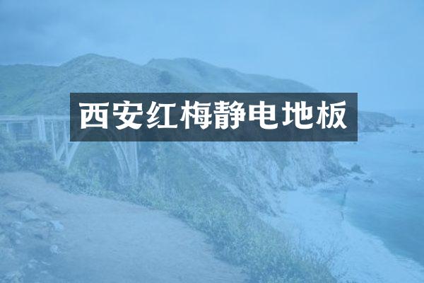西安红梅静电地板