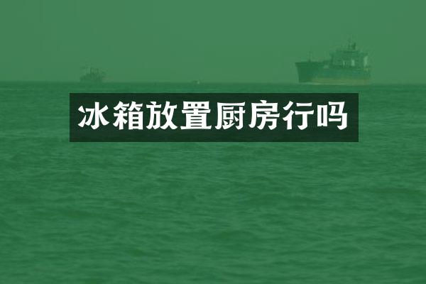 冰箱放置厨房行吗