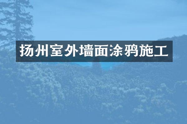 扬州室外墙面涂鸦施工