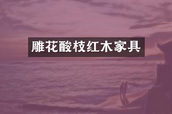 雕花酸枝红木家具