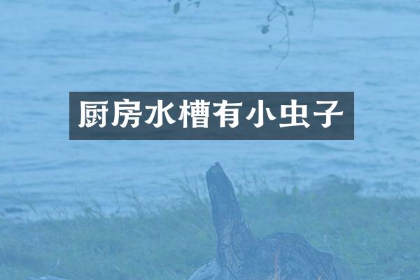 厨房水槽有小虫子