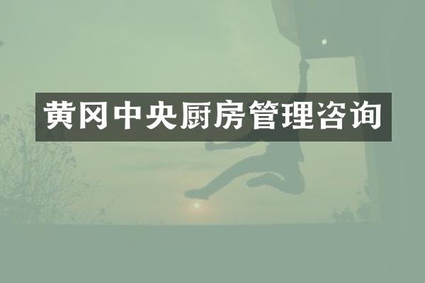 黄冈中央厨房管理咨询